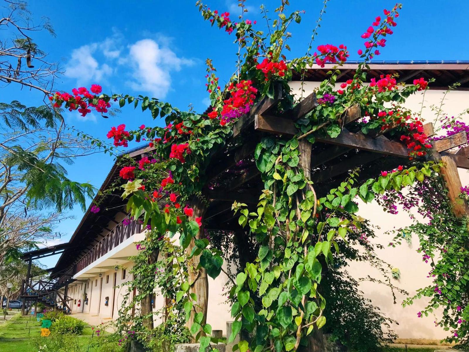 Hotel Fazenda Triunfo Areia Exterior foto